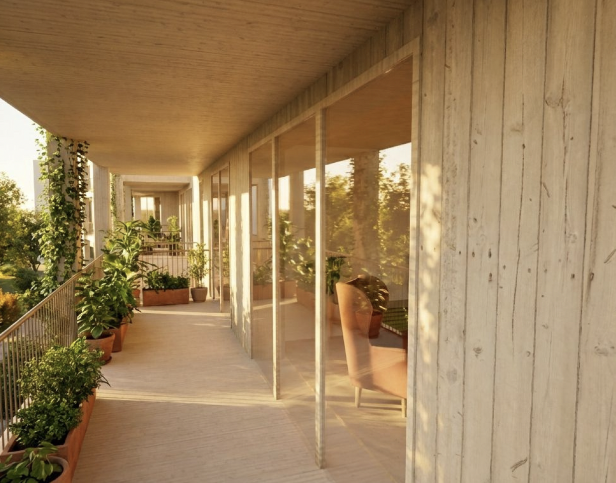 Timber Courtyard Housing. The building settles into planting as a low, quiet edge to the site.