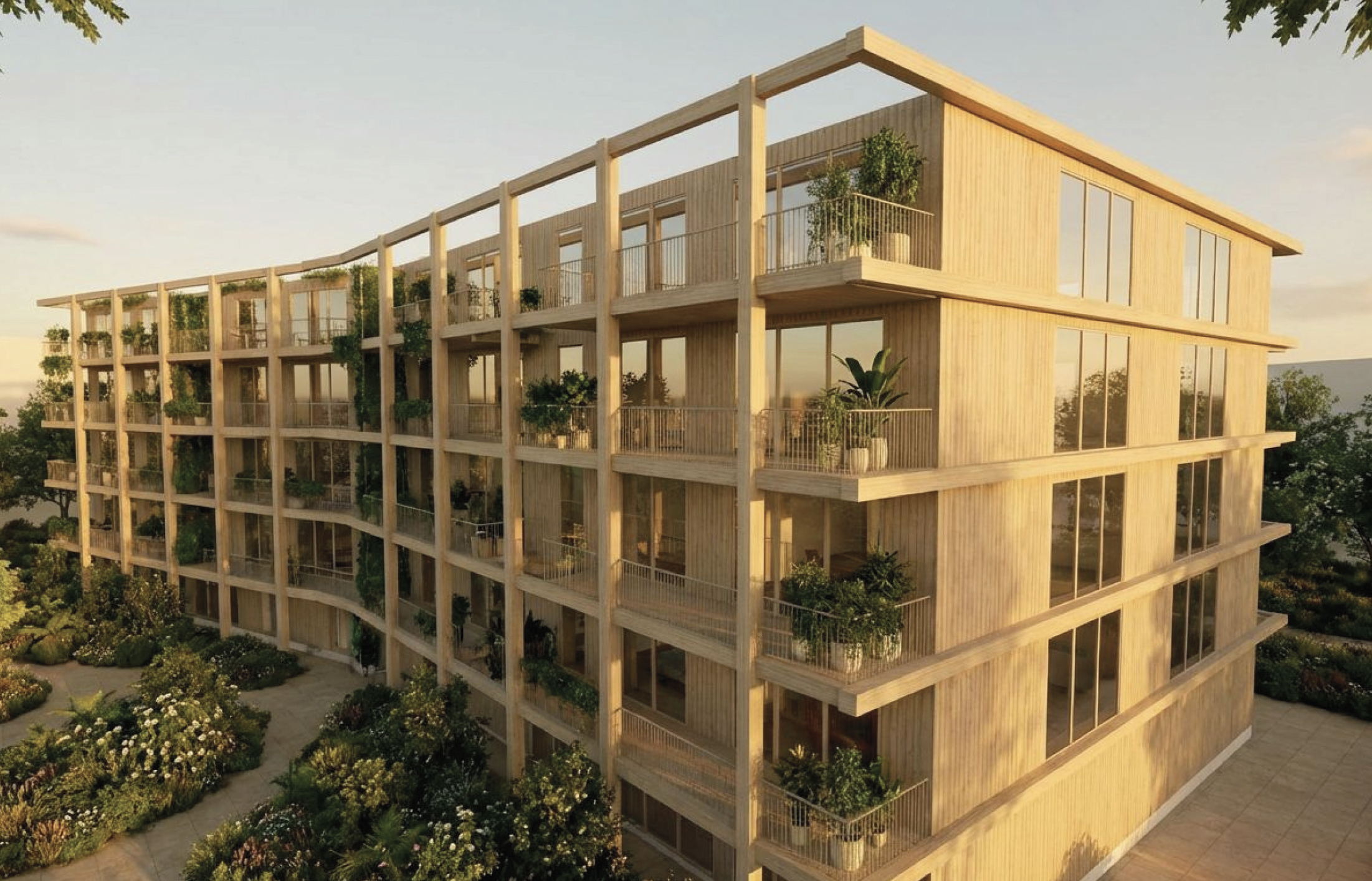 Timber Courtyard Housing. Shared circulation becomes an inhabitable gallery filled with light, timber, and planting.